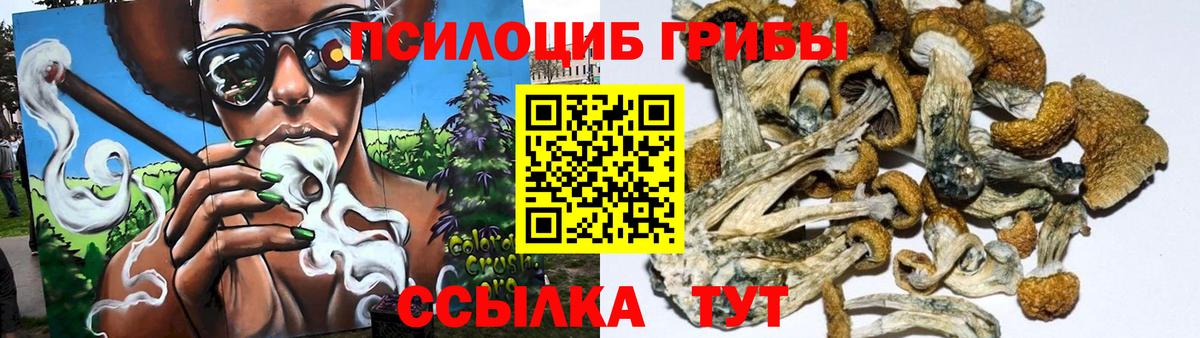 Псилоцибиновые грибы прущие грибы Рассказово