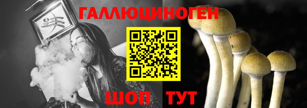 Галлюциногенные грибы прущие грибы  Вход с VPN  Псилоцибиновые грибы MAGIC MUSHROOMS  Рассказово 